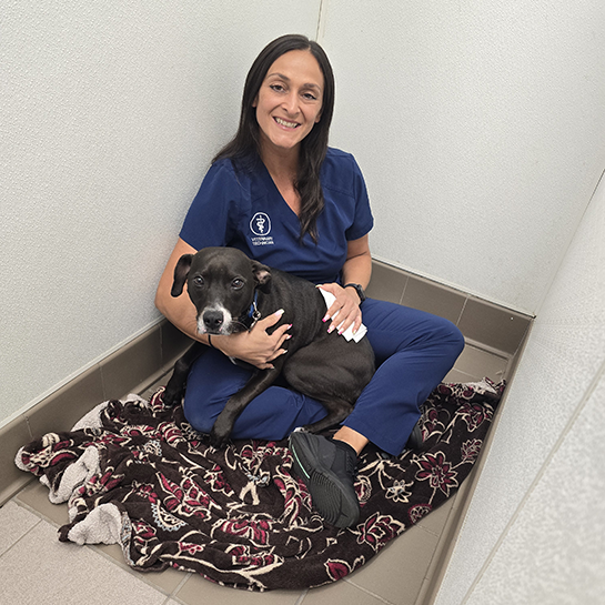 Peace Love Pets Veterinary Care