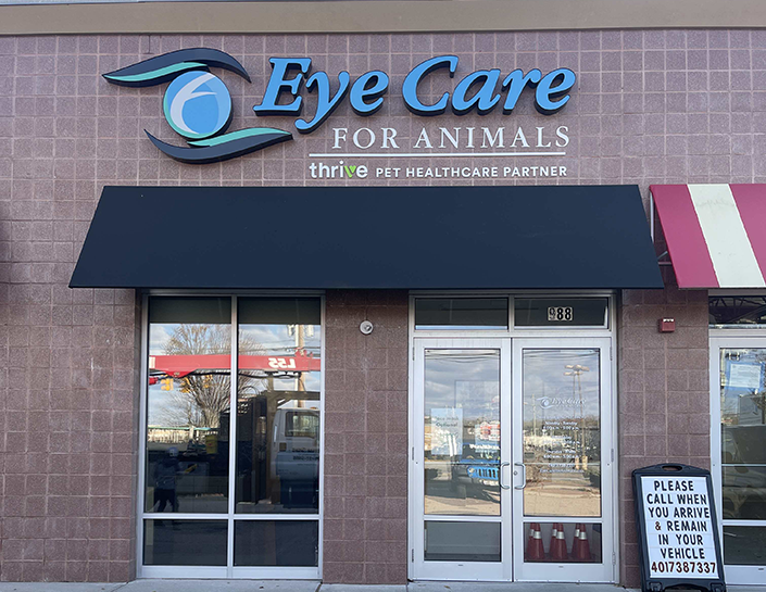 Veterinary Ophthalmology Warwick RI Eye Care for Animals