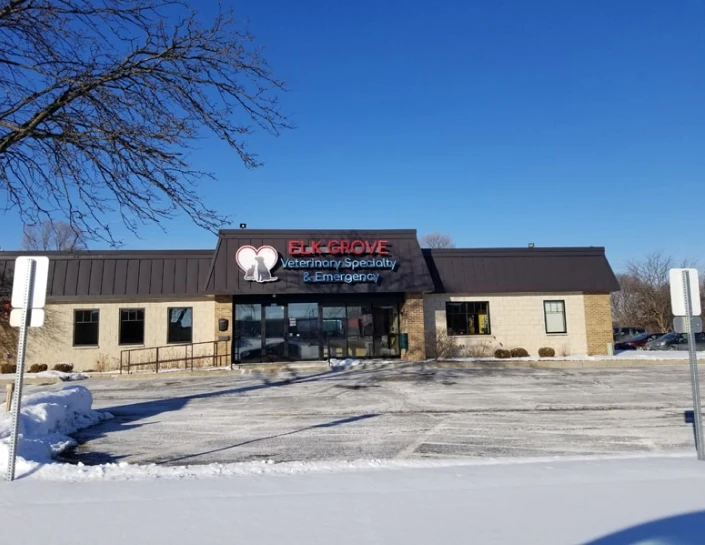 Elk Grove Veterinary Specialty & Emergency