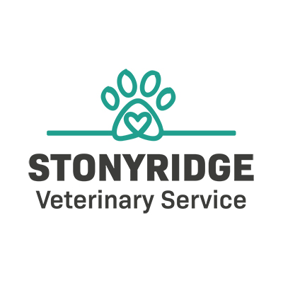 Stonyridge Veterinary Service | Veterinary Care in Ohio