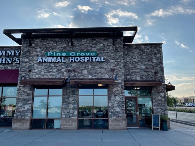 Parker animal deals hospital colorado