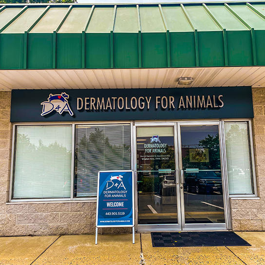 Veterinary Dermatology Catonsville Dermatology for Animals
