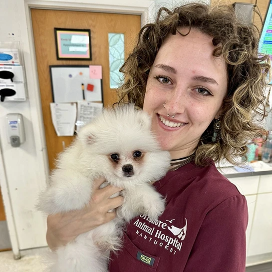 Offshore Animal Hospital