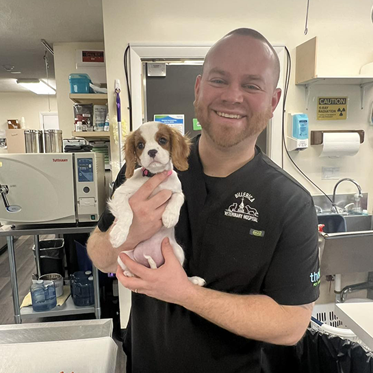 Billerica Veterinary Hospital