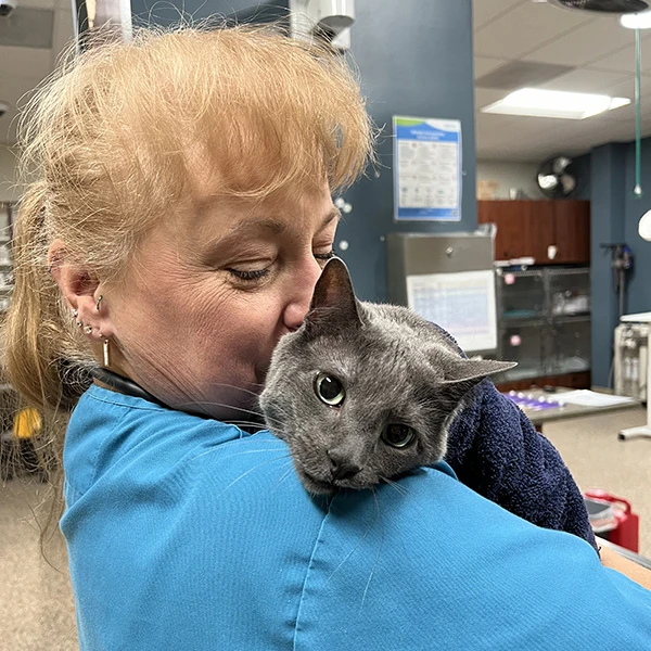 Mile High Animal Hospital