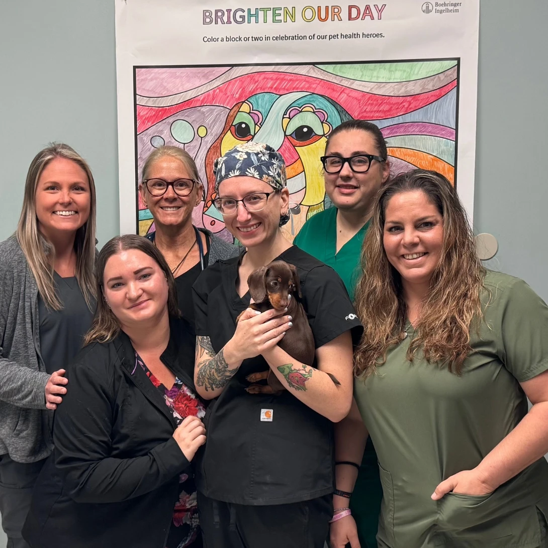 Saint Francis Pet Care Centers Tarpon Springs