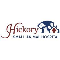 Hickory Small Animal Hospital | ThrivePet Veterinary Care Center