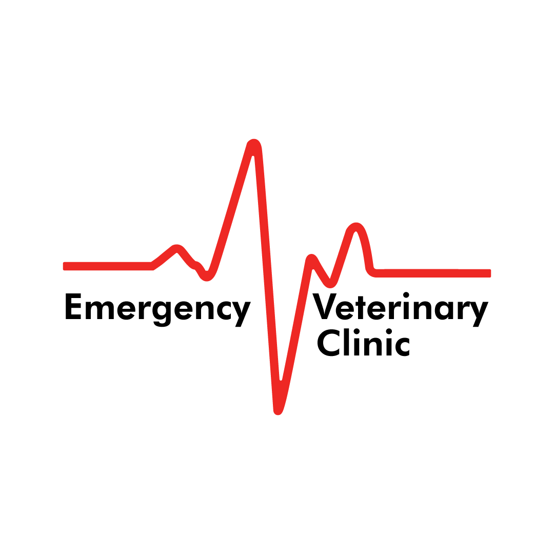Emergency Veterinary Clinic | Thrive Pet Healthcare