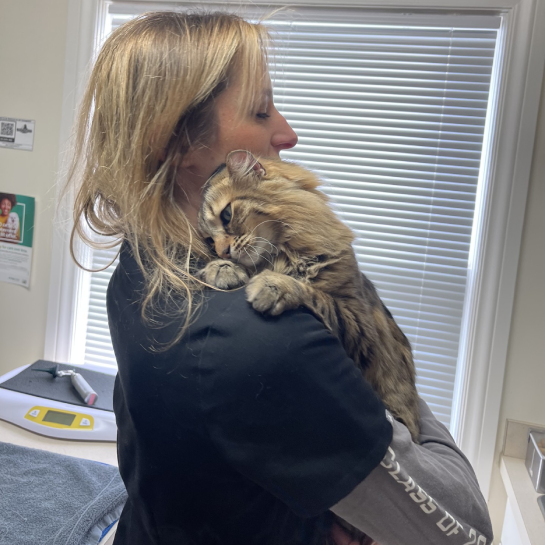 Powell Veterinary Center at Powell Blvd