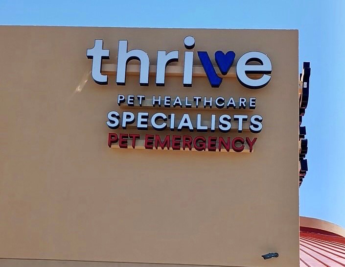 Emergency Vet Albuquerque Thrive Pet Healthcare