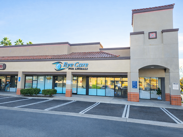 Eye Care For Animals - San Marcos