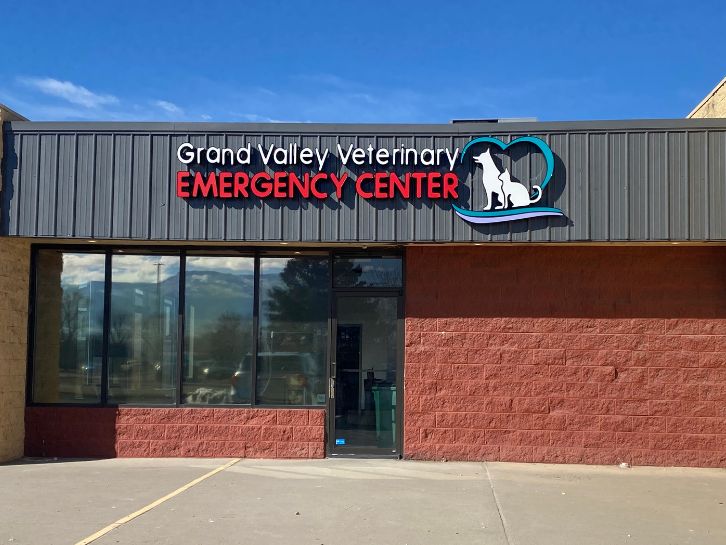 31+ Emergency Vet Grand Junction Colorado