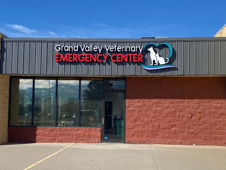 Local emergency hot sale vet clinic