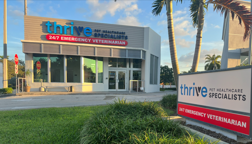 Thrive Pet Healthcare office