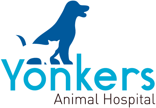 Yonkers Animal Hospital | Thrive Pet Healthcare