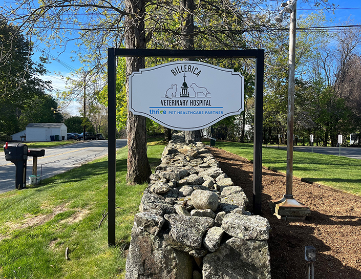 Billerica Veterinary Hospital