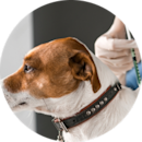 30% Off Select Vaccines*