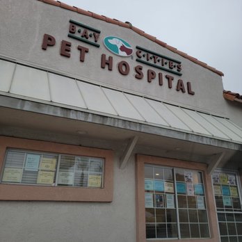 Beach cities hot sale pet hospital