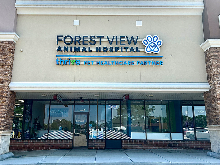 Forest View Animal Hospital