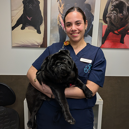 Center for Veterinary Care 