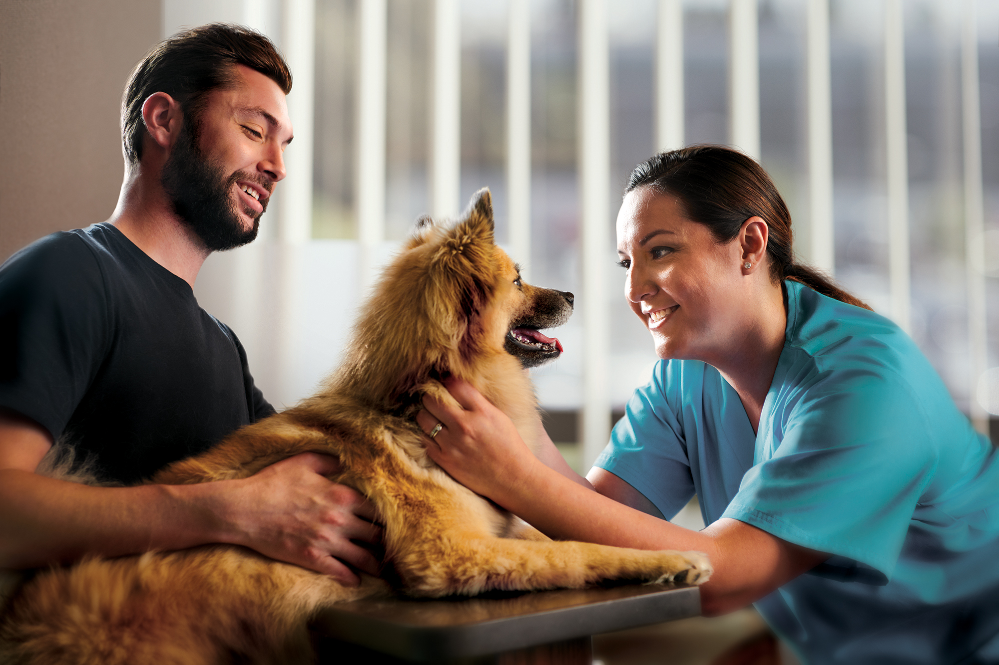 Youngs Animal Hospital is a full-service animal hospital in