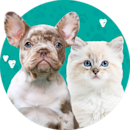 $100 Off Spay and Neuter 