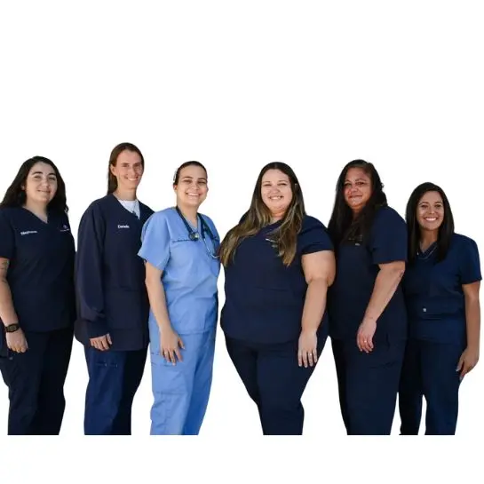 Hickory Small Animal Hospital, Independence