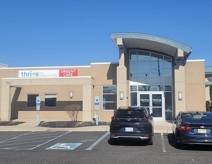 Urgent Care Vet Turnersville NJ Thrive Pet Healthcare