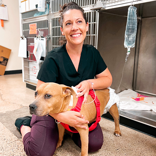 Pet Urgent Care Thrive Pet Healthcare