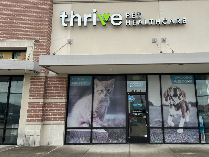 Discount thrive vet appointment Free Shipping