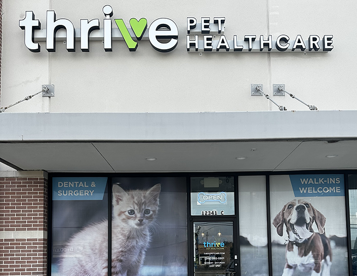 Thrive dog hot sale vet