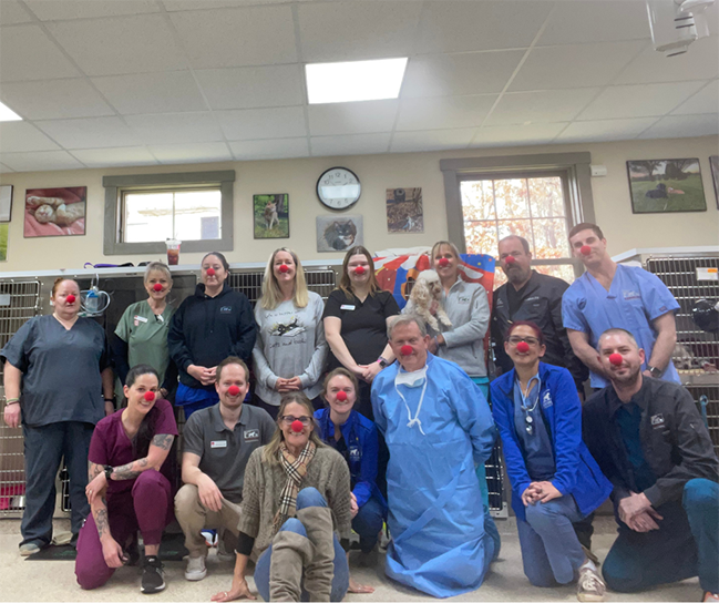 Leesburg Veterinary Hospital Thrive Pet Healthcare