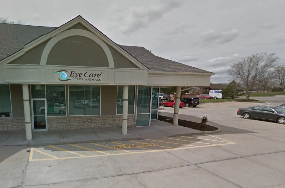 Veterinary Ophthalmology Lees Summit MO Eye Care for Animals