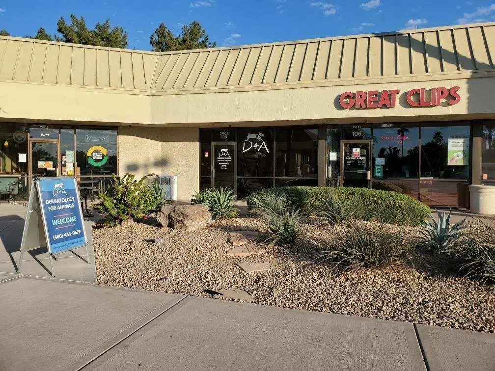 Veterinary Dermatology Scottsdale Dermatology for Animals