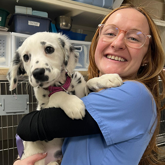 Billerica Veterinary Hospital