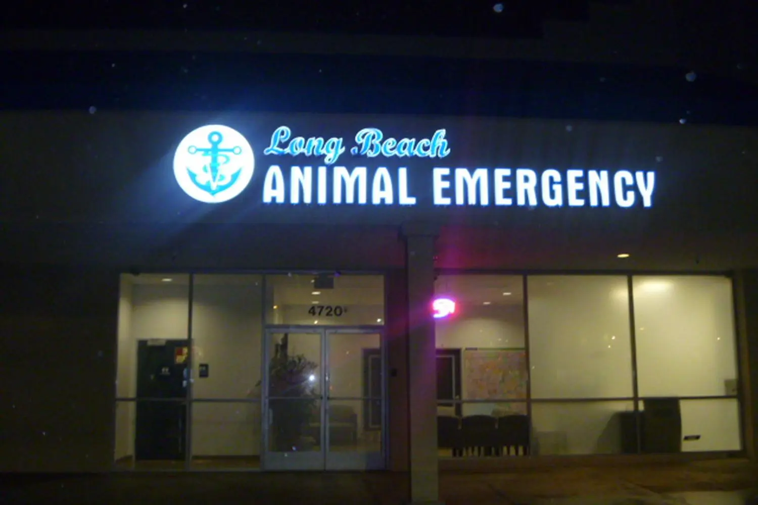 Long Beach Animal Emergency Thrive Pet Healthcare