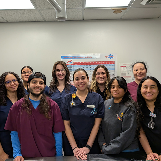 Center for Veterinary Care 