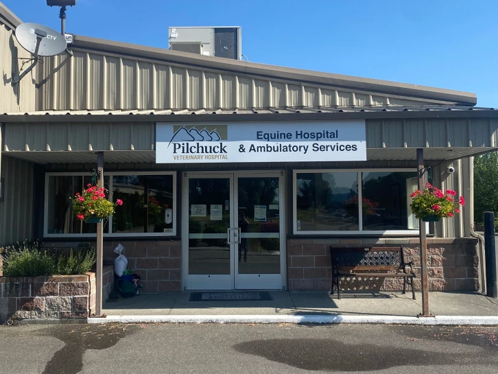 Pilchuck Veterinary Hospital - Equine