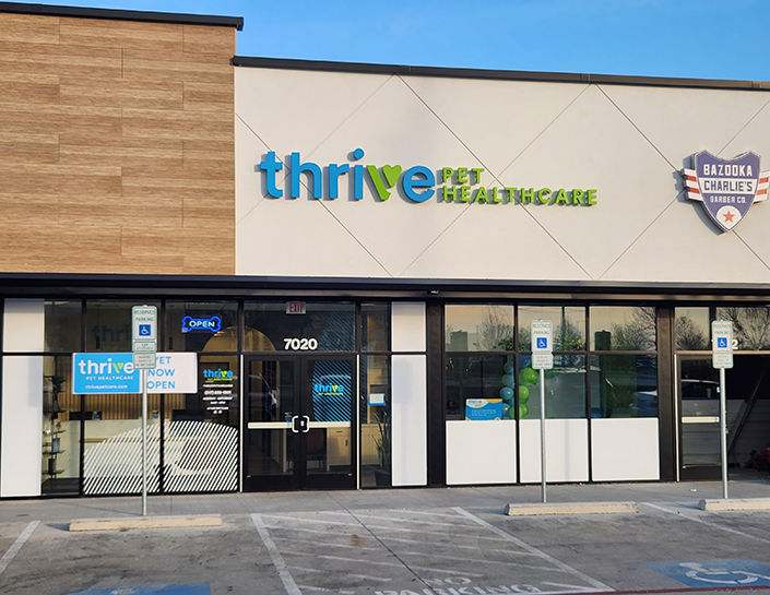 Veterinarian Fort Worth TX Thrive Pet Healthcare Saginaw
