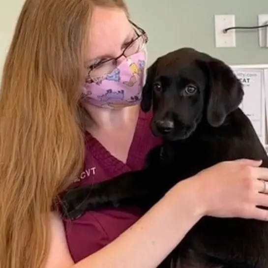 Pine Grove Animal Hospital