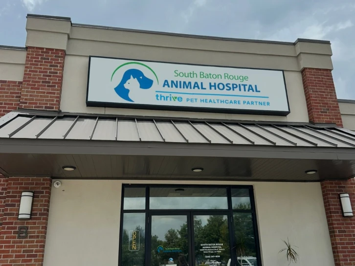 South Baton Rouge Animal Hospital