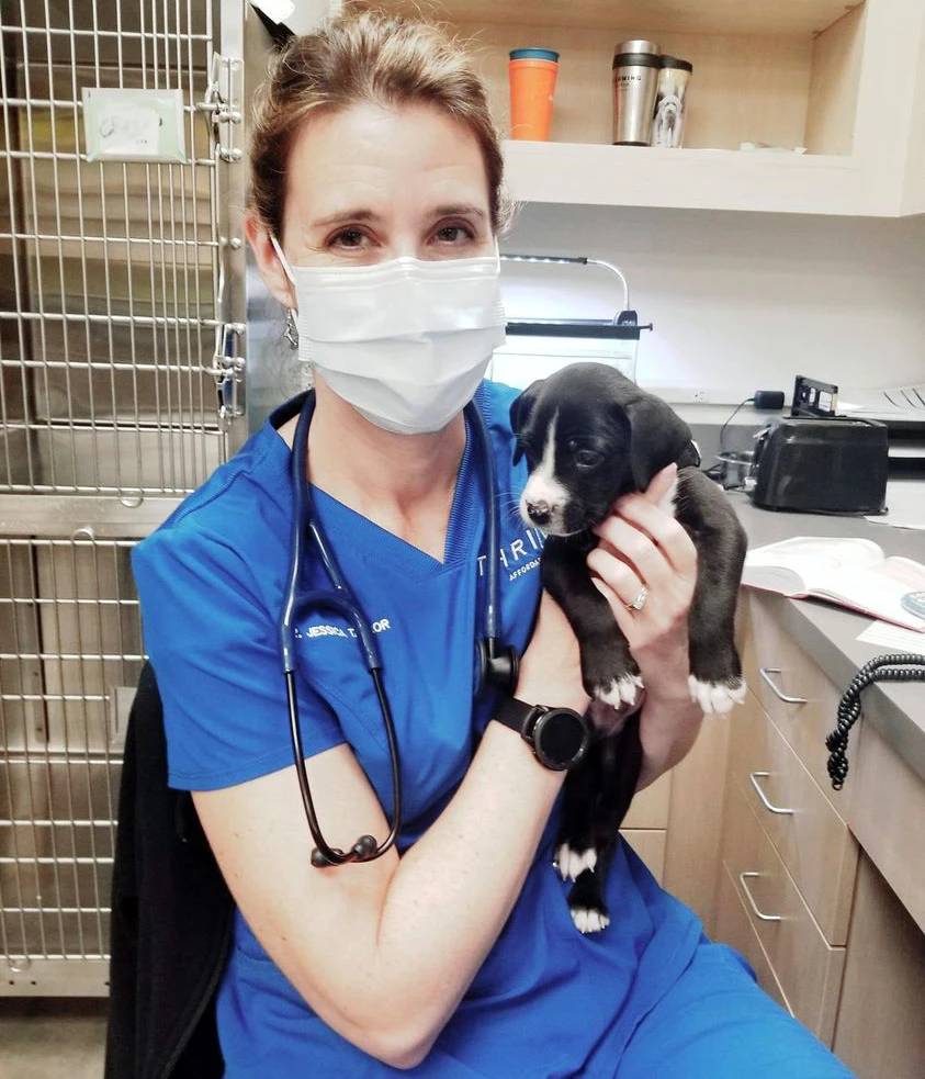 Dr. T holding puppy in arms with mask on