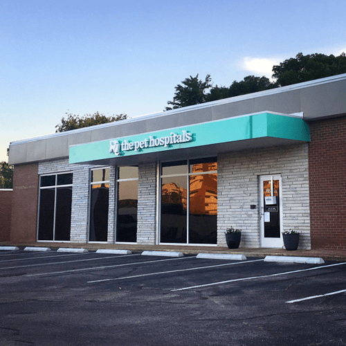 The Pet Hospitals Downtown