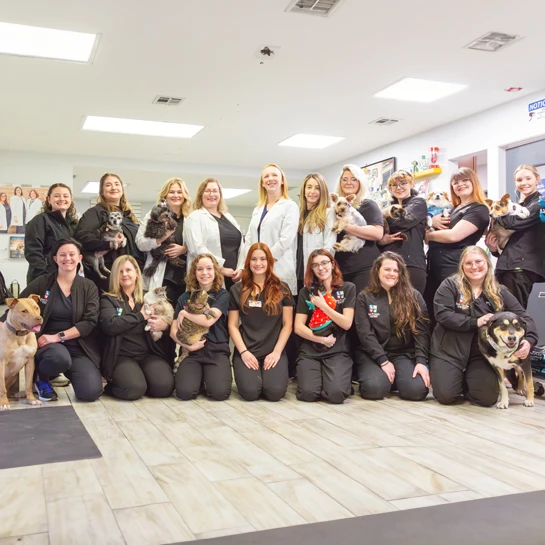 Vet Near Me Fayetteville AR Best Friend's Animal Hospital