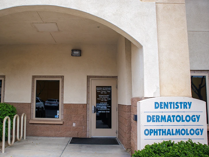 Veterinary Ophthalmology Gilbert AZ Eye Care for Animals