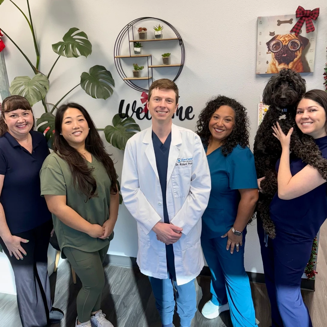 Eye Care For Animals - Upland