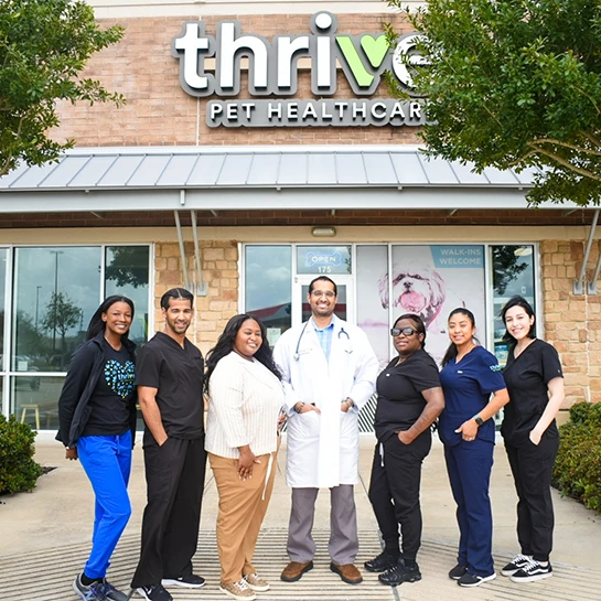 Thrive Pet Healthcare - Falcon