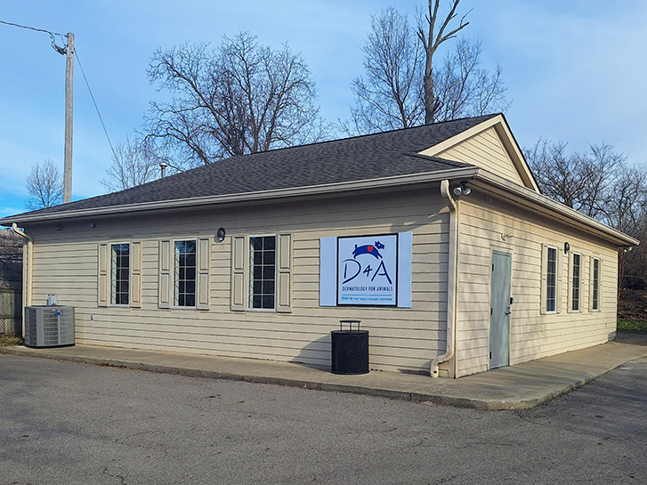 Veterinary Dermatology in Columbus | Dermatology for Animals