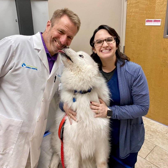 South Baton Rouge Animal Hospital Thrive Pet Healthcare