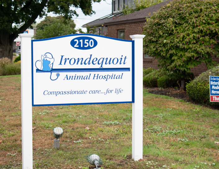 Irondequoit Animal Hospital